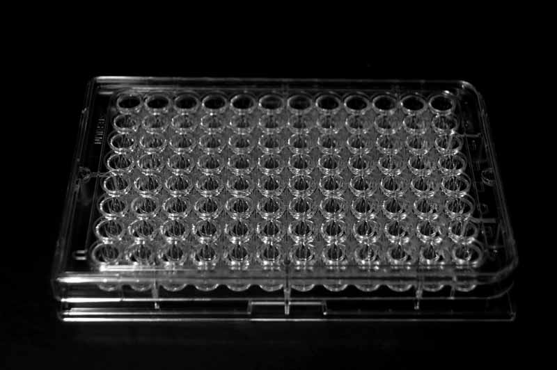 Multiwell Plate 96 Cell Round Bottom